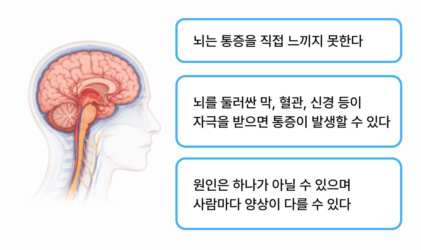 두통은 여러 원인이 함께 관련될 수 있음을 설명하는 뇌 구조 안내 이미지